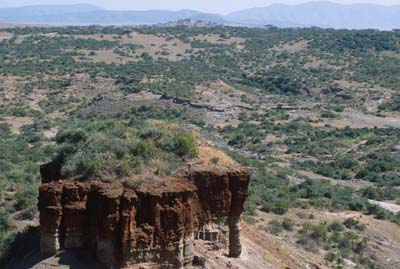 Olduvai Gorge