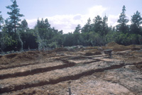 foundation footing trenches 2