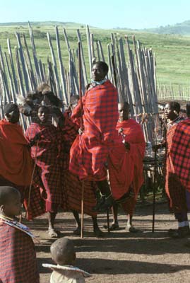 Masai Warriors Dancing