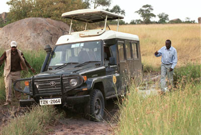 Stuck in the mud in the Serengeti