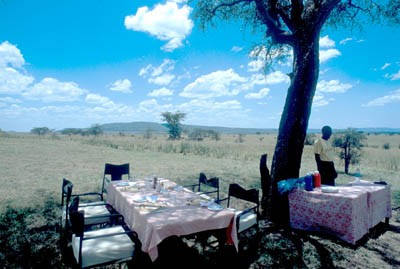 Bush Lunch in the Serengeti