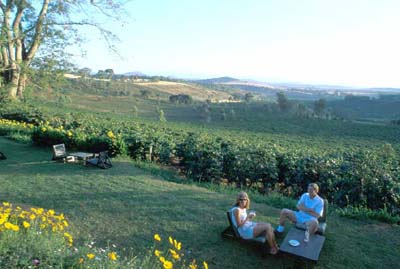 Relaxing at Gibbs Farm