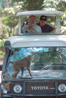 Driving through Lake Manyara Park