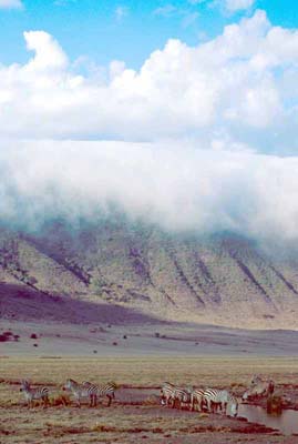 Fog creeping down the Crater wall